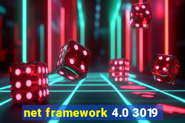 net framework 4.0 3019